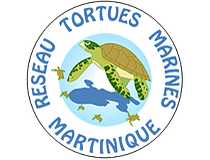 RÉSEAU TORTUES MARINES MARTINIQUE