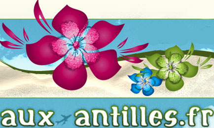 AUX ANTILLES